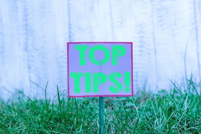Here Are the Best Tips for Starting Out with Drought Tolerant Grass ...